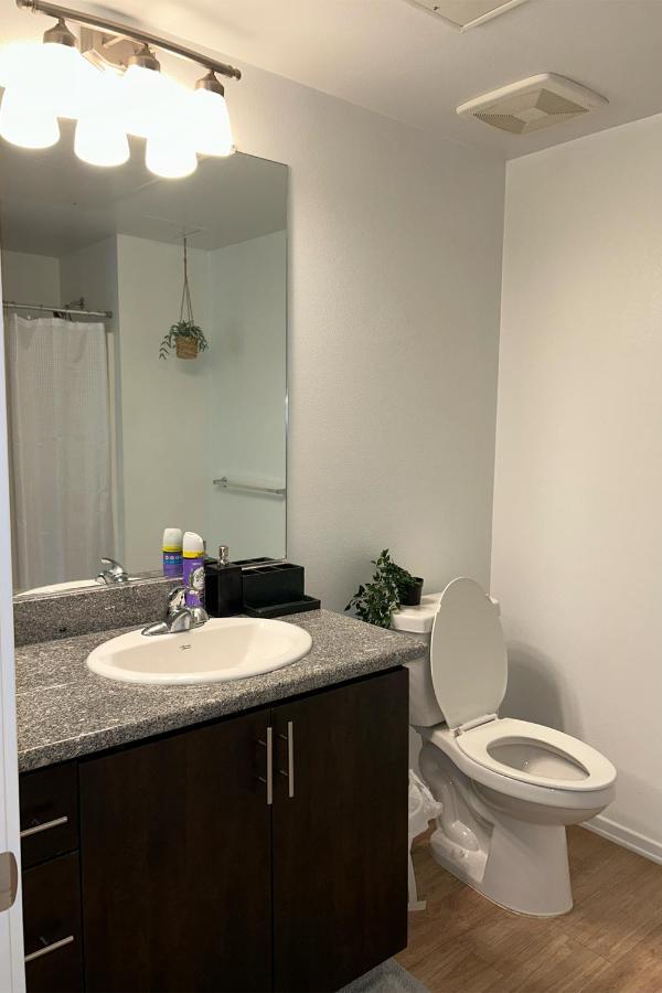 Beautiful Apartment In Hollywood 1Br & 1Bd Los Angeles Eksteriør billede